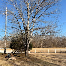 Rapid-Recovery-Storm-Debris-Cleanup-In-Oxford-MS 7